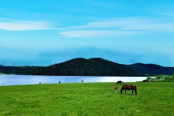 【熱銷純玩】雲南昆明-大理-麗江-香格裡(lǐ)拉純玩8日遊 康輝旅遊網【熱銷純玩】雲南昆明-大理-麗江-香格裡(lǐ)拉純玩8日遊