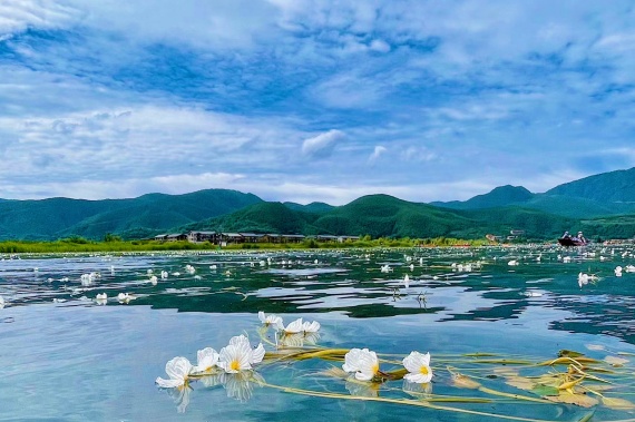 【浪漫雲南行·愛必濃】麗江起(qǐ)止麗江+大理+泸沽湖5晚6天蜜月遊<濃情蜜意大床房,洱海雪山雙旅拍,交杯下午茶> 康輝旅遊網【浪漫雲南行·愛必濃】麗江起(qǐ)止麗江+大理+泸沽湖5晚6天蜜月遊<濃情蜜意大床房,洱海雪山雙旅拍,交杯下午茶>