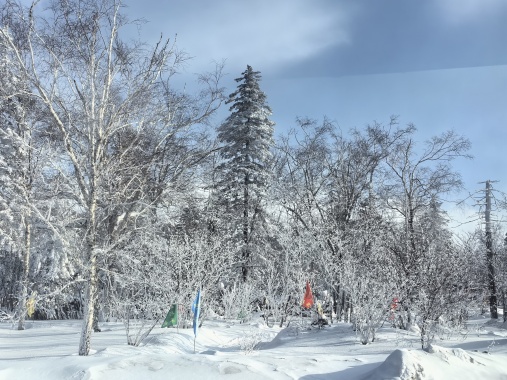 <日本,立山黑部>深圳直飛名古屋,邂逅雪牆奇景 6 天遊,日本最後(hòu)秘境:立山黑部漫步大雪谷+白川鄉合掌村+富士山五合目+東京秋葉原+忍野八海+東京晴空塔 康輝旅遊網<日本,立山黑部>深圳直飛名古屋,邂逅雪牆奇景 6 天遊,日本最後(hòu)秘境:立山黑部漫步大雪谷+白川鄉合掌村+富士山五合目+東京秋葉原+忍野八海+東京晴空塔